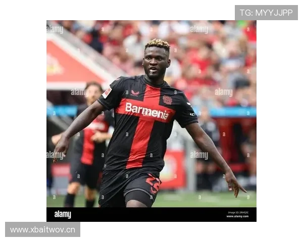 博尼法斯力量型中锋模板如何撕裂防线 博尼法斯力量型中锋模板如何撕裂防线