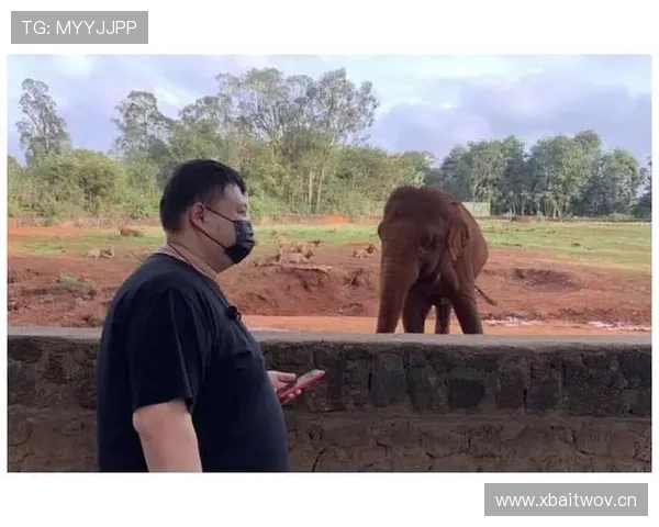 孙悦家的狗吃的比我还贵